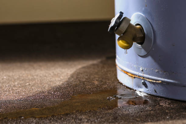 Best Water damage restoration near me  in Calais, ME