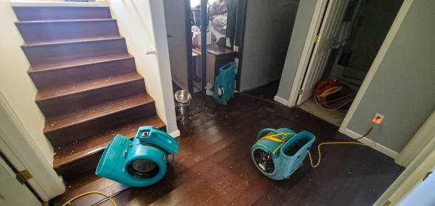Best Commercial water damage restoration  in Calais, ME