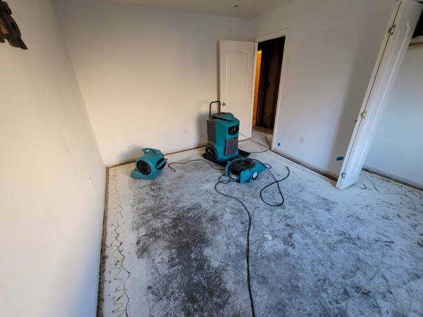 Best Water damage restoration near me  in Calais, ME