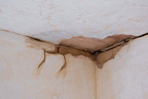 Best Flooded house restoration  in Calais, ME
