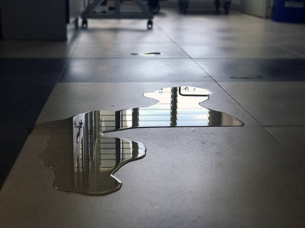 Best Water damage restoration cost  in Calais, ME