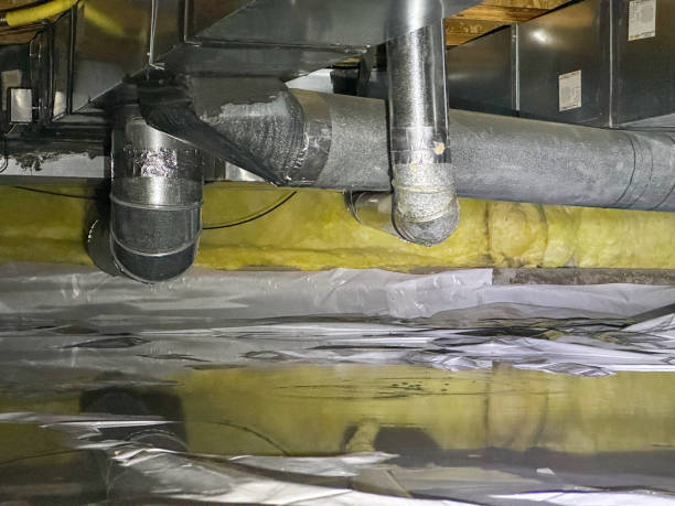 Best Local water damage restoration  in Calais, ME