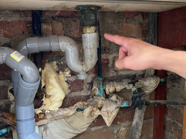 Best Water damage restoration services  in Calais, ME