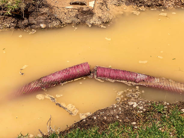 Best Water damage restoration experts  in Calais, ME