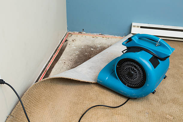 Best 24/7 water damage repair  in Calais, ME
